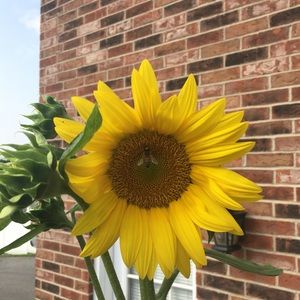 Meet your Posher, Theresa